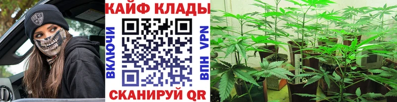 Где найти наркотики Ленинградская Кокаин Меф ГАШ МАРИХУАНА