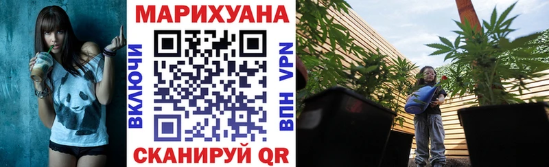 Канабис ГИДРОПОН Ленинградская